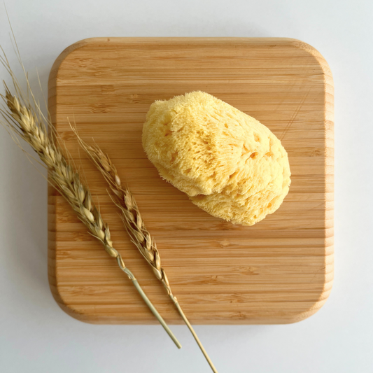 Najel Organic Natural Sponge