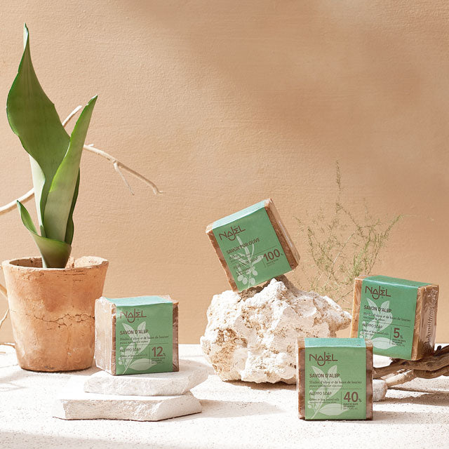 Bay Laurel Oil: The Secret to Healthy, Glowing Skin