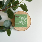 Najel Aleppo Soap with Natural Jasmine