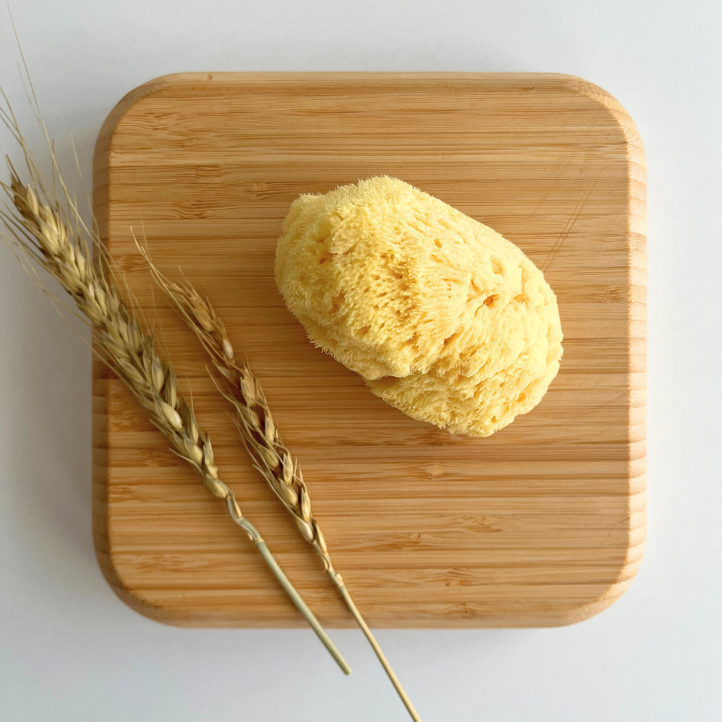 Najel Organic Natural Sponge
