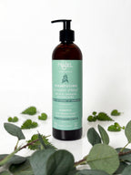 Najel Organic Aleppo Soap Shampoo 2 in 1 - Oily Hair