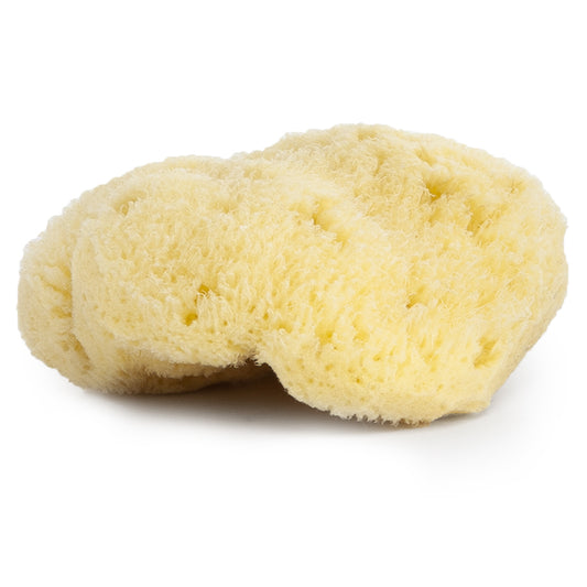 Najel Organic Natural Sponge
